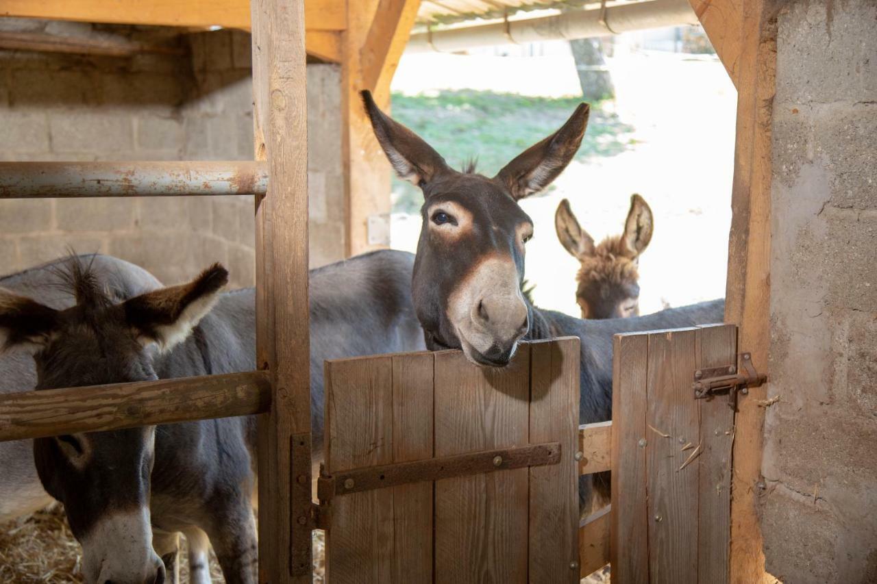 Saint-Ouen-sous-Bailly La Maison Du Bonheur Roulotte旅馆 外观 照片